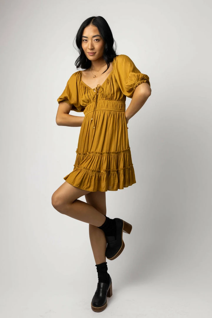 Brand new π― Mustard Seed Evie Mini π Dress In Chartreuse π Dresses 𧨠6 Mustard Seed Evie Mini Dress In Chartreuse Dresses