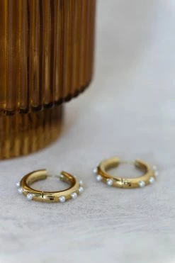 J&D JEWELRY Mileena Earrings In Gold